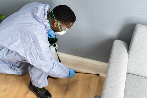 Best Residential Pest Control  in Bayou Blue, LA